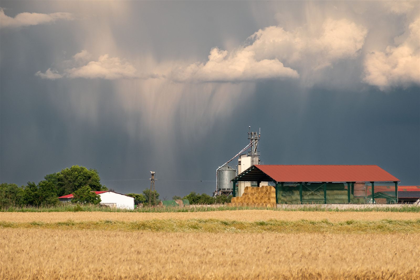 Rovescio temporalesco con cortine di pioggia sopra un'azienda agricola con campi di grano e fienili